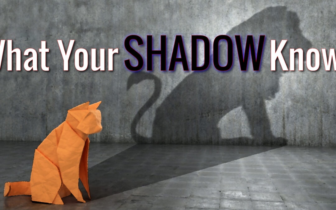 What Your Shadow Knows