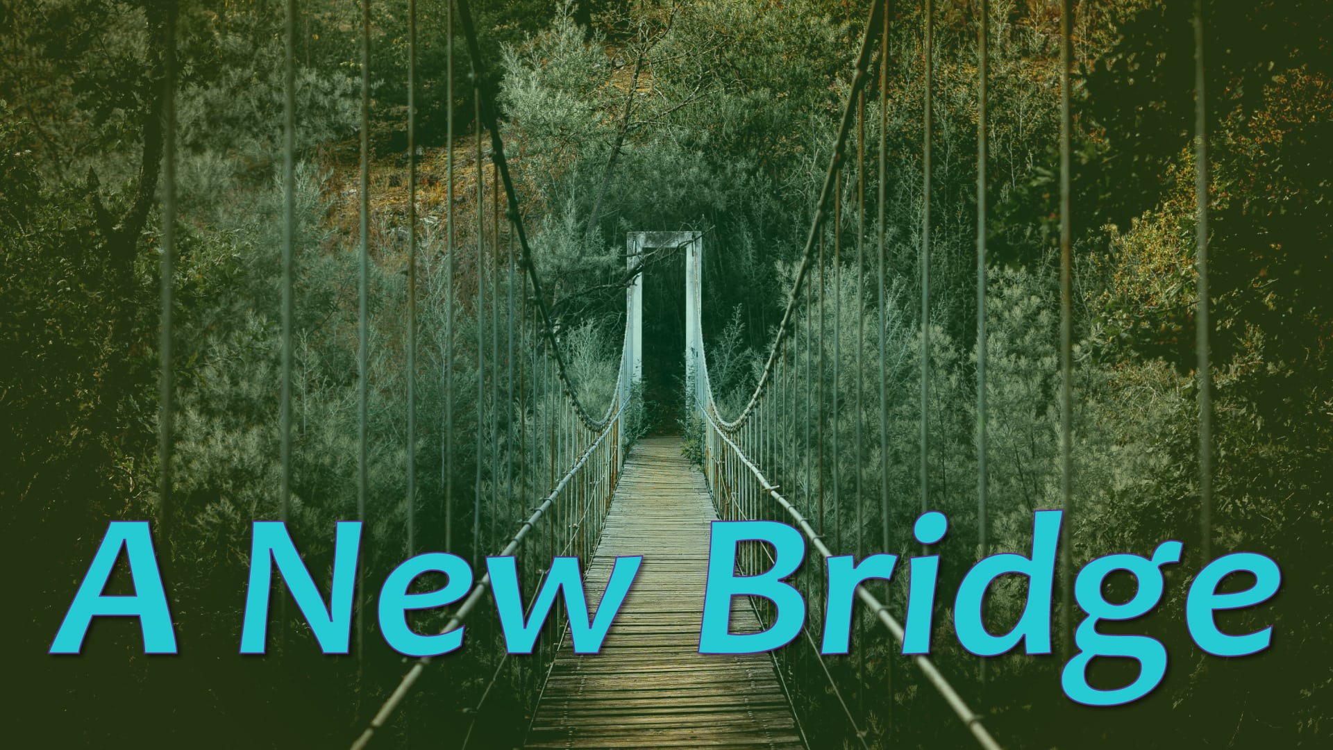 A New Bridge
