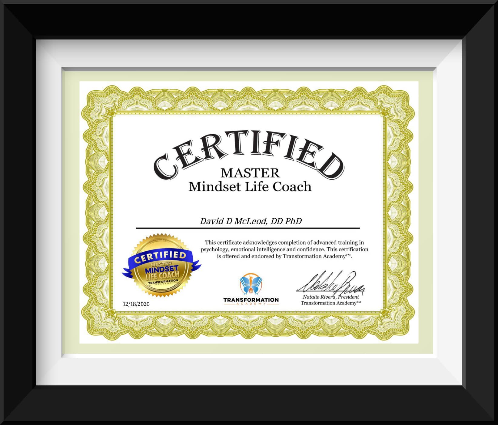Certified Master Mindset Life Coach