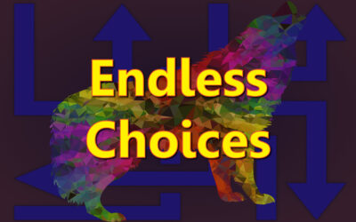 Endless Choices