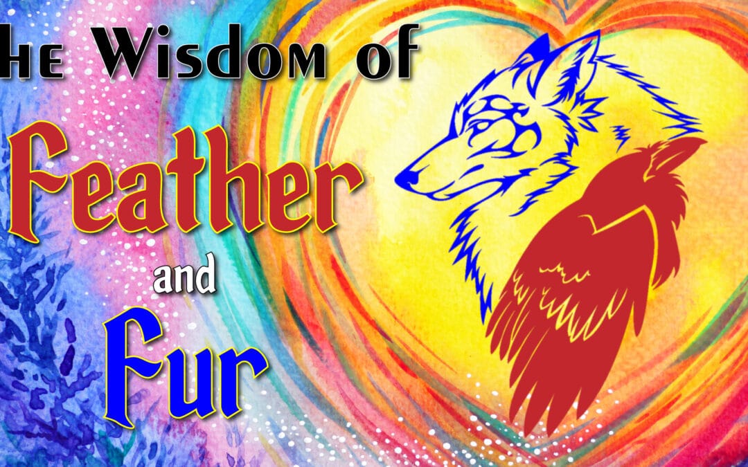 The Wisdom of Feather and Fur