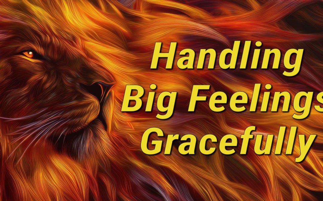 Handling Big Feelings Gracefully