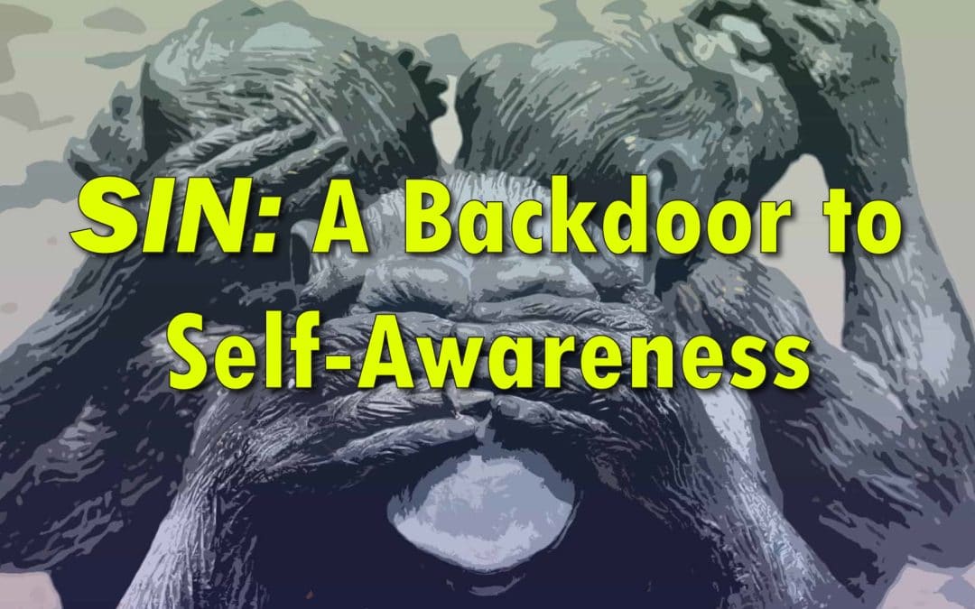 SIN: A Backdoor to Self-Awareness