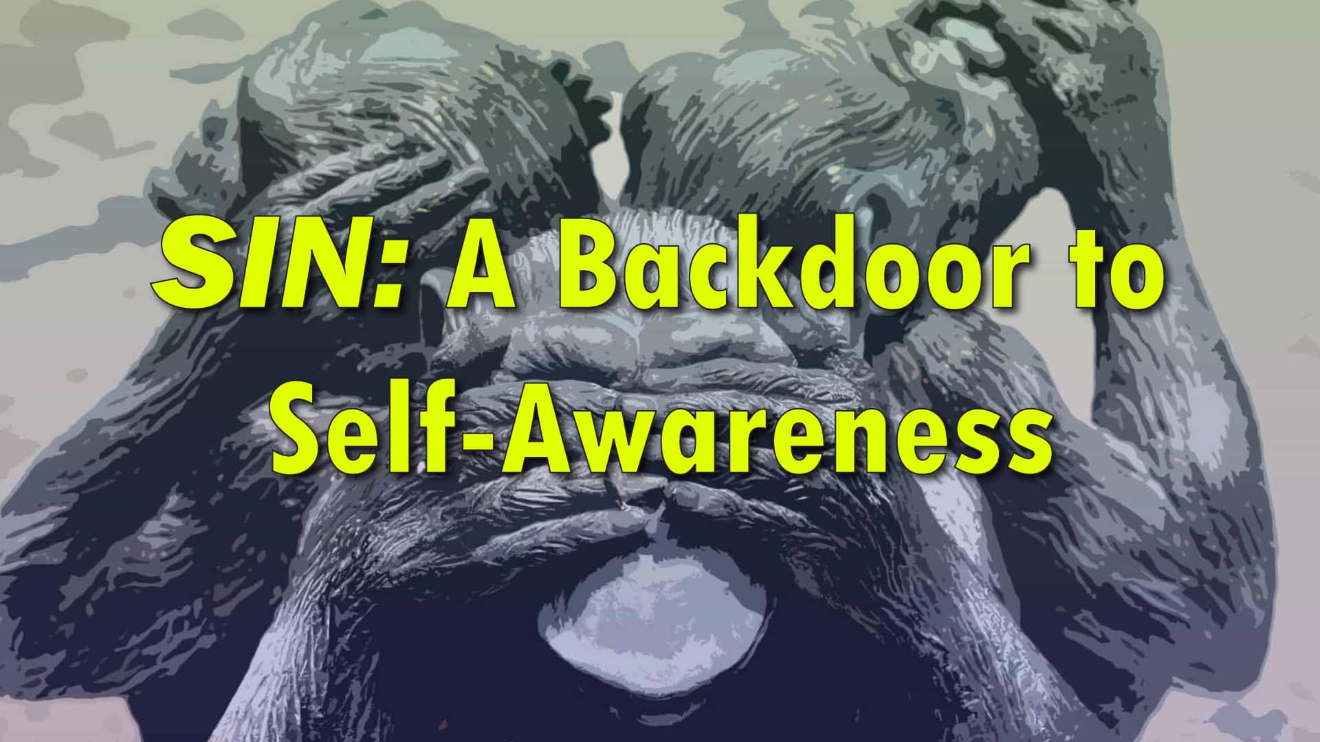 SIN: A Backdoor to Self-Awareness